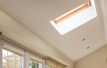Netherraw conservatory roof insulation companies